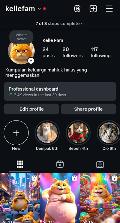 Instagram